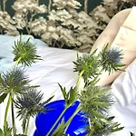 Expo Sniadeckich Apart Otel