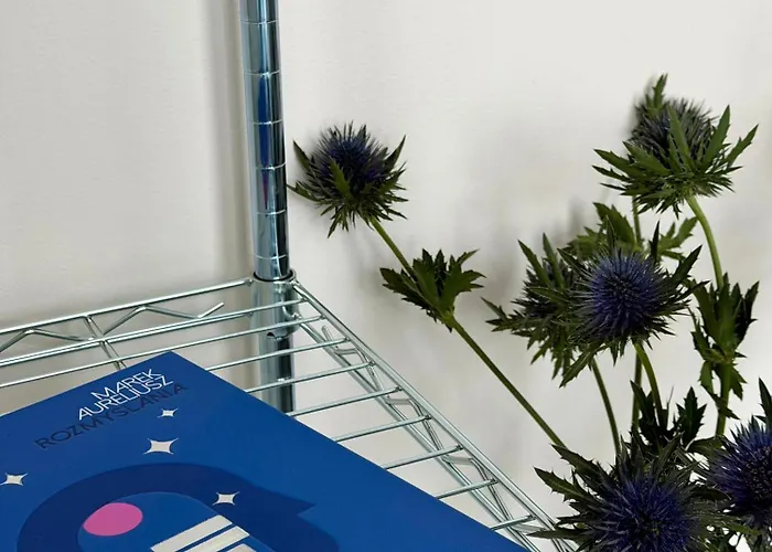 Expo Sniadeckich 3* 포즈난