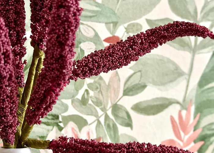 아파트호텔 Expo Sniadeckich